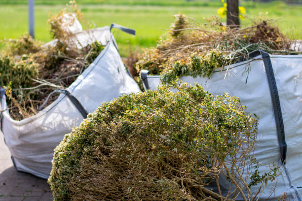 Trusted Girard, PA Junk Removal Experts